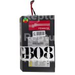 Batterieladegerät FENWICK NG1