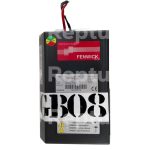 Chargeur de batterie NG1 1433745174 FENWICK 